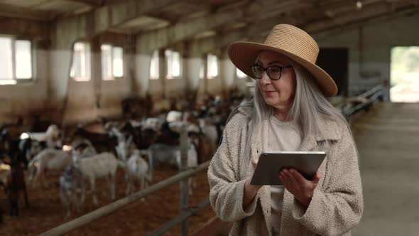 Attractive Aged Woman Walking at Goat Farm and Using Tablet