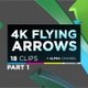 Flying Arrow Pack 1 - VideoHive Item for Sale