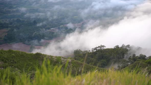 tropical Cloudy foggy Hilltop view