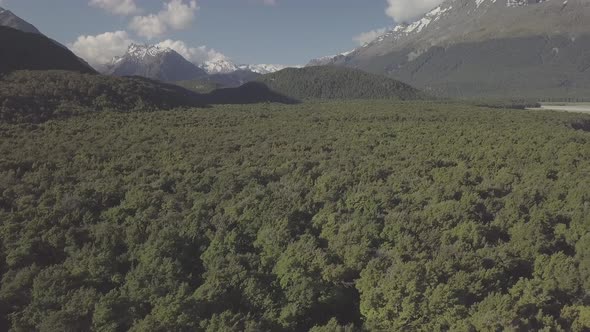 Scenic valley in New Zealand