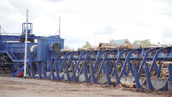 Production of Timber From Wood. Woodworking. Machining Logs. The Logs in the Sawmill Are Moving