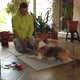 Male Training His Beagle Dog at Home - VideoHive Item for Sale