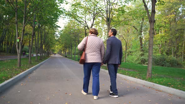 Rear View of Mature Couple Walking and Talking on Autumn Day