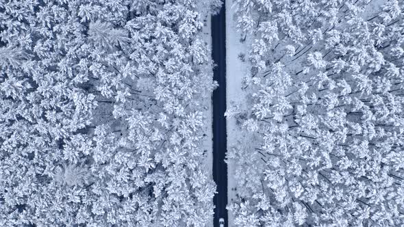 Aerial view of black asphalt road through snowy forest