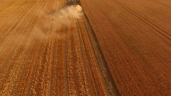 Combine Harvester Moving.