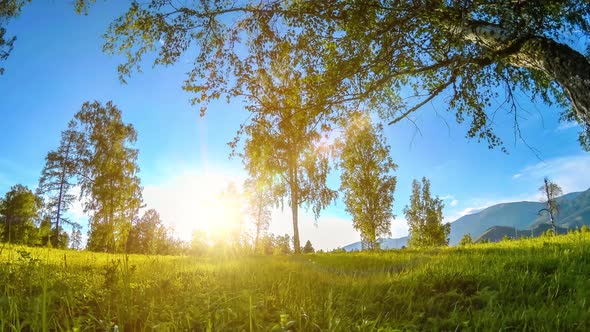 Mountain Meadow Timelapse at the Summer or Autumn Time