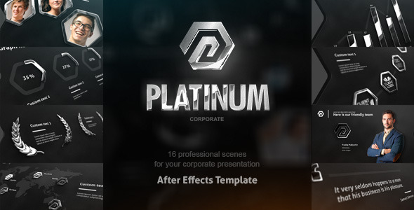 Platinum Corporate Package alt