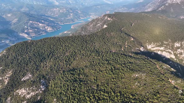 Forest texture aerial view 4 K Turkey Alanya