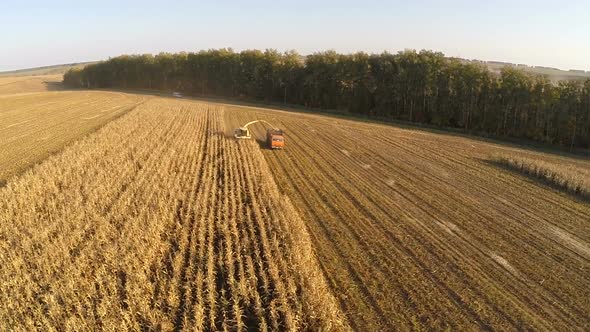 Aerial view of agricultural vehicles gathering crops