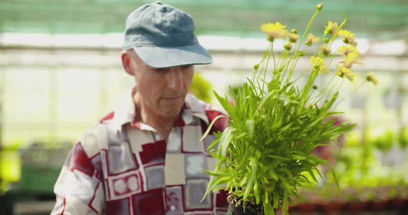 Researcher Examining Potted Plant At Greenhouse