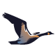 Goose Logo - GraphicRiver Item for Sale