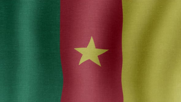 The National Flag of Cameroon