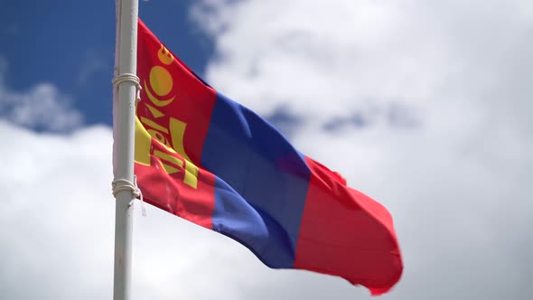 Flag of Mongolia alt