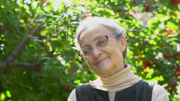 Beautiful Old Grandmother with Grey Hair and Face with Wrinkles is Looking at the Camera with Smile