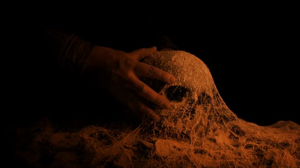 Man Picks Up Skull In Ancient Tomb In Firelight
