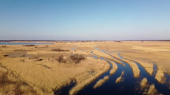 Aerial view of the lake overgrown with brown reeds, lake Pape nature park, Rucava, Latvia, sunny spr