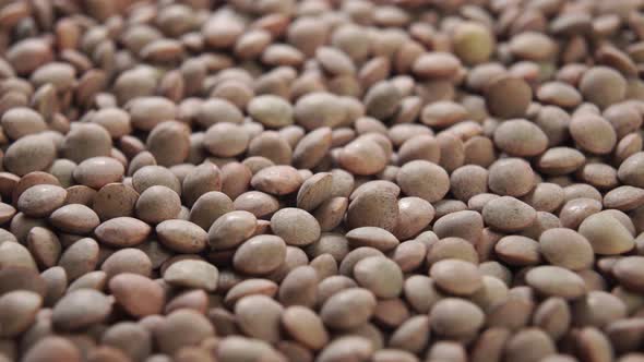 Raw lentil grains close up. The uncooked legumes are spinning