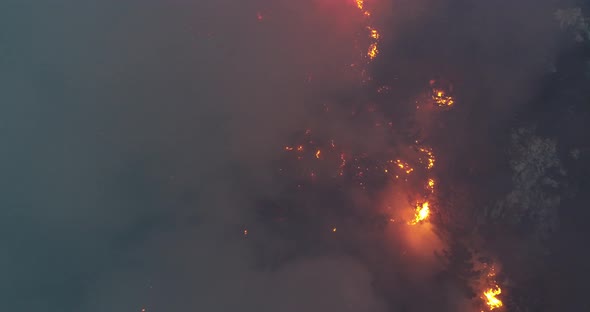 Aerial Panoramic View of a Forest Fire at Night Heavy Smoke Causes Air Pollution and Fire in Full