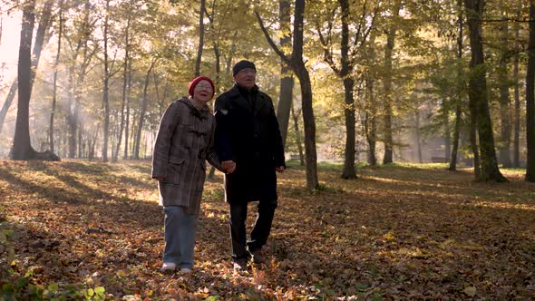 Cheerful Old Couple Walking on Fallen Leaves