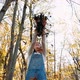 Happy Young Woman Having Fun and Throwing Yellow Leaves at Autumn Forest - VideoHive Item for Sale