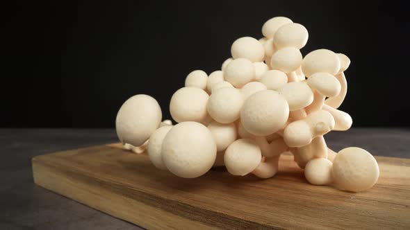 White Shimeji Mushrooms 10