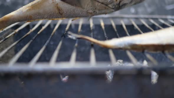 the Person Turned the Fish Over on the Other Side of the Grill to Fry Evenly