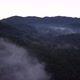 Misty Morning Rainforest Drone Shot - VideoHive Item for Sale