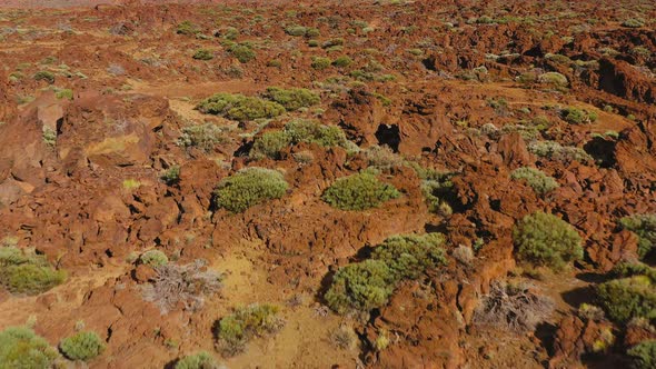 Aerial View of Solidified Lava and Sparse Vegetation in the Teide National Park