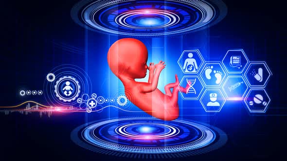 Human Fetus Virtual Reality