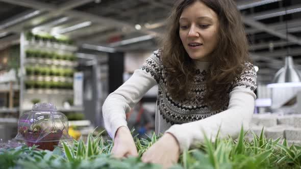 Wavyhaired Woman Chooses Cacti for Home Decoration