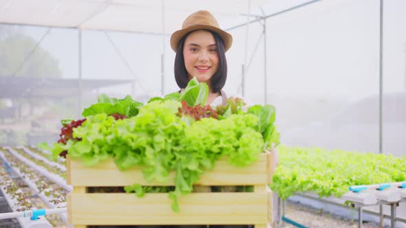 Asian beautiful farmer girl carrying box of vegetables green salad in hydroponic greenhouse farm.