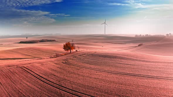 Wind turbine and brown field in autumn, sunrise aerial view