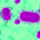 Peering inside a microorganism cell - VideoHive Item for Sale