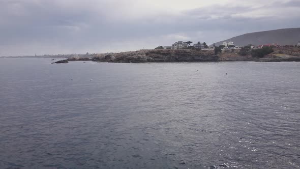 Bryde's whale breaks surface to breathe close to Hermanus shore; drone