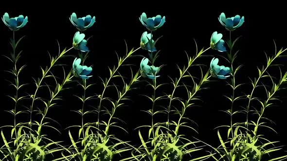 Wild Flowers Botanical Floral 3D Rendering