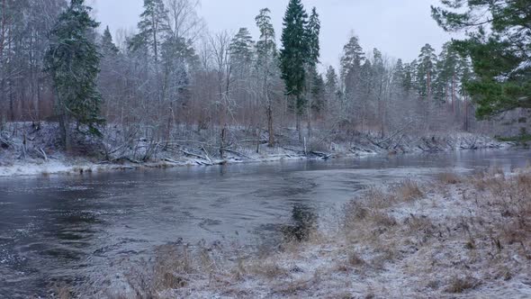 Winter Morning