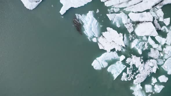 Icebergs Floating in a Glacier Lagoon in the Artic