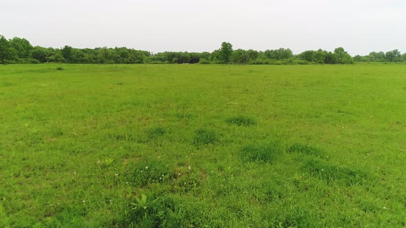 Green Field with Grass Pasture for Livestock Next to the Farm