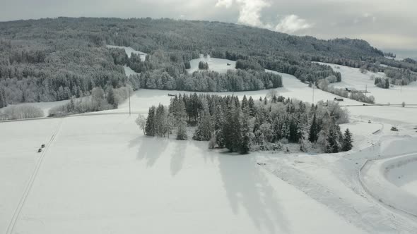 Aerial of pine trees standing in a beautiful snow covered landscape.