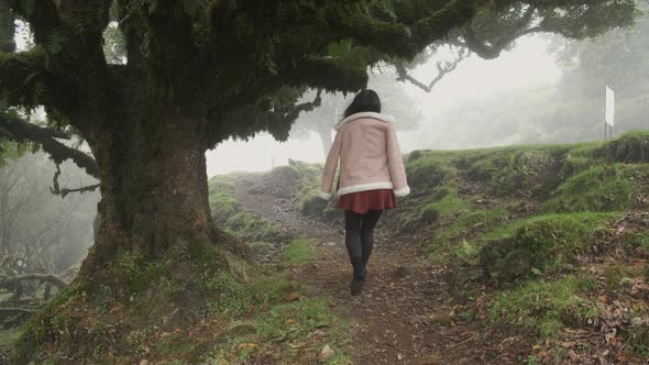 Shot from behind woman explore misty Laurel forest, Madeira Island