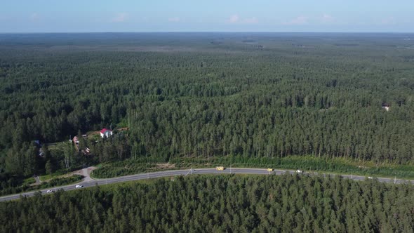 Aerial Video From a Drone Over the Forest