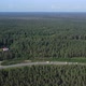 Aerial Video From a Drone Over the Forest - VideoHive Item for Sale