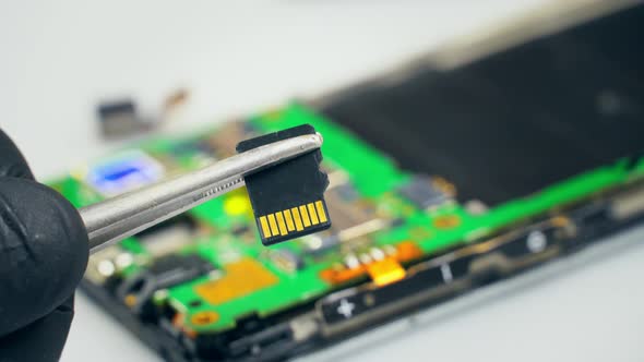 A Technician Holds a microSD Card in a Repair Service Center