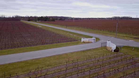 Aerial over a wine country vineyard in late winter.