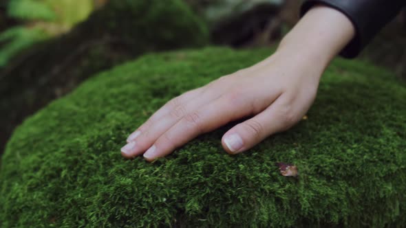 Cinematic Shot of Young Woman Touching Green Moss