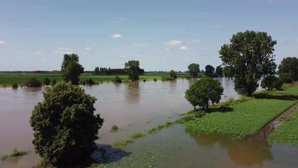 Floodplains and drowned trees at river Maas in the Netherlands, Aerial