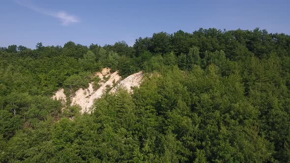 Mountain Forest Landscape