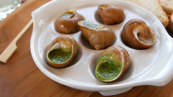 A Ready Made Dish of Snails in a Sauce on a Special Plate in a Restaurant