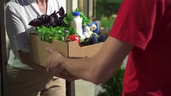 Delivery Man Give Box with Food to Client Woman Closeup