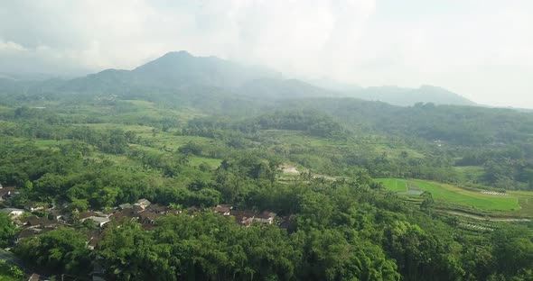 aerial drone view of Tonoboyo village Bandongan, Magelang. Terraced rice fields with a hillside back